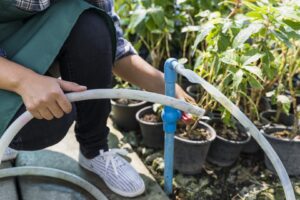 Agua para riegos puntuales en Murcia